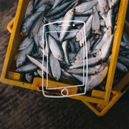 eFishery: Revolutionizing Fish Farming With An Aquaculture Super App