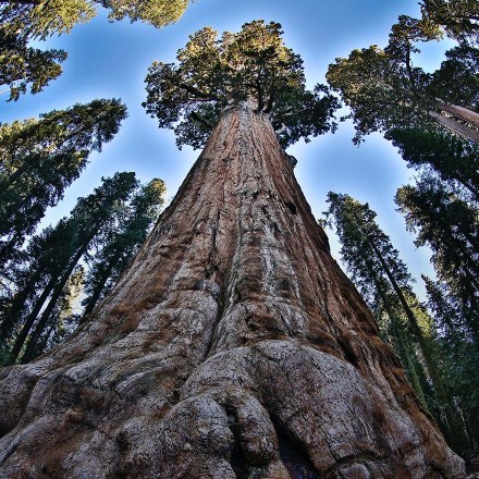 Sequoia India closes Fund VI, announces five promotions