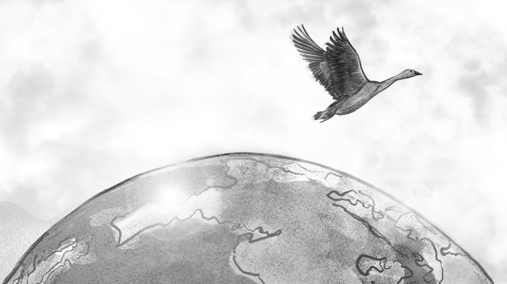 Bird flying above globe