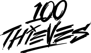 100 Thieves