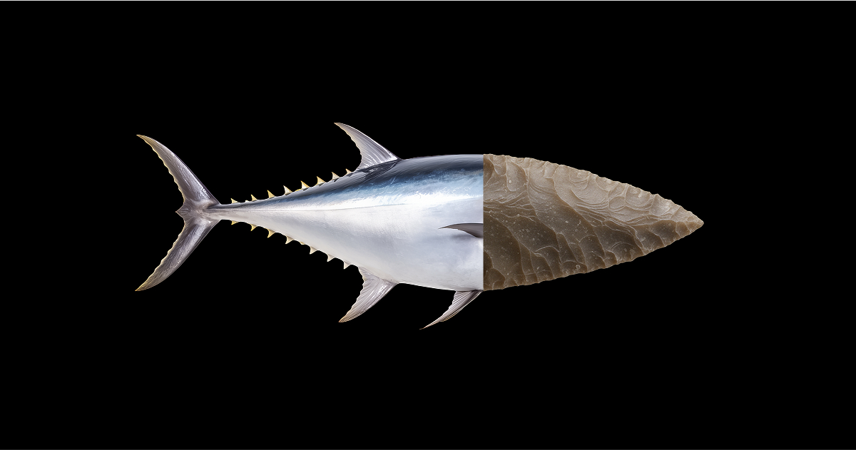 关于人工智能的联觉