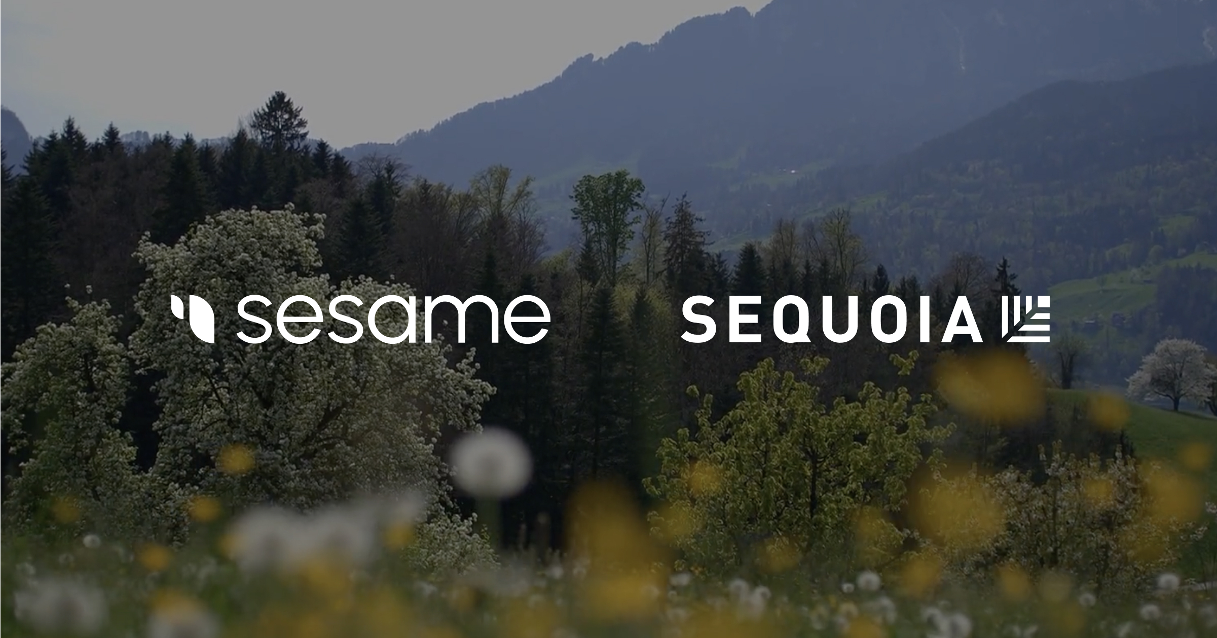 Partnering with Sesame: A New Era for Voice